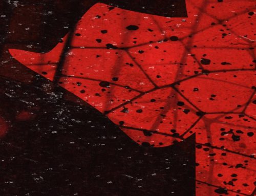 M28 | Se viene un nuevo track y muchas novedades